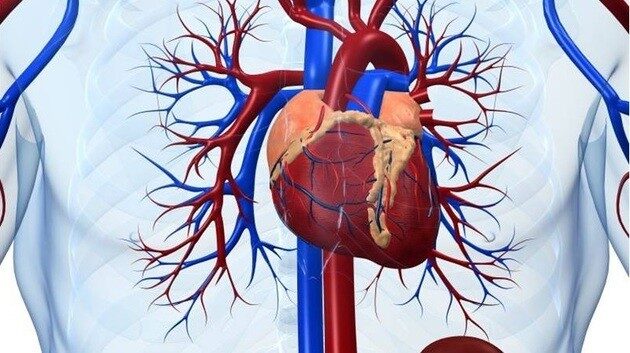 Congresso Paraibano de Cardiologia acontece nesta sexta em João Pessoa